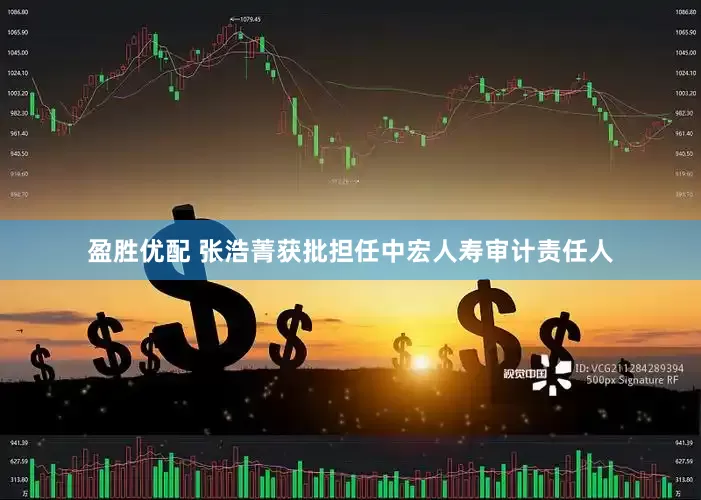 盈胜优配 张浩菁获批担任中宏人寿审计责任人