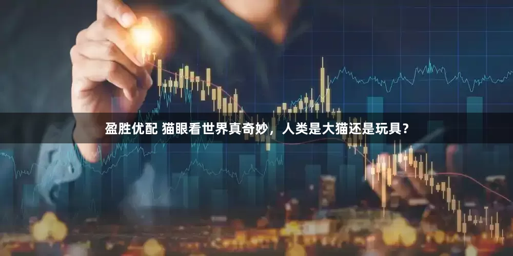 盈胜优配 猫眼看世界真奇妙，人类是大猫还是玩具？