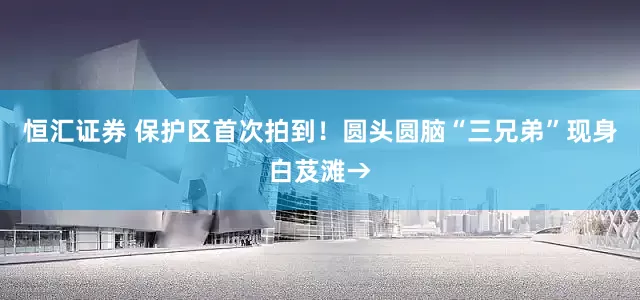 恒汇证券 保护区首次拍到！圆头圆脑“三兄弟”现身白芨滩→