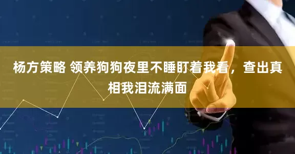 杨方策略 领养狗狗夜里不睡盯着我看，查出真相我泪流满面