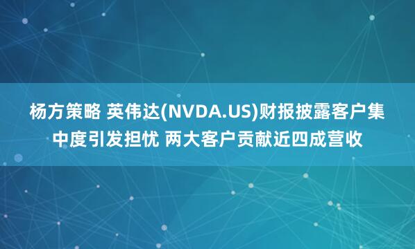杨方策略 英伟达(NVDA.US)财报披露客户集中度引发担忧 两大客户贡献近四成营收