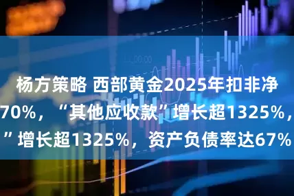 杨方策略 西部黄金2025年扣非净利润同比增长近70%，“其他应收款”增长超1325%，资产负债率达67%